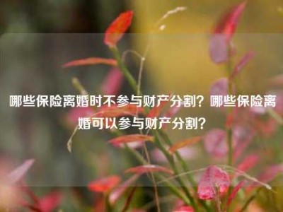 哪些保险离婚时不参与财产分割？哪些保险离婚可以参与财产分割？