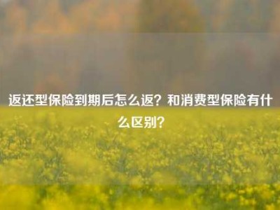 返还型保险到期后怎么返？和消费型保险有什么区别？