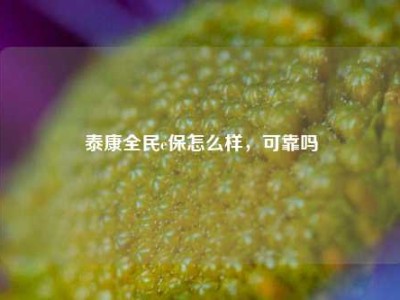 泰康全民e保怎么样，可靠吗