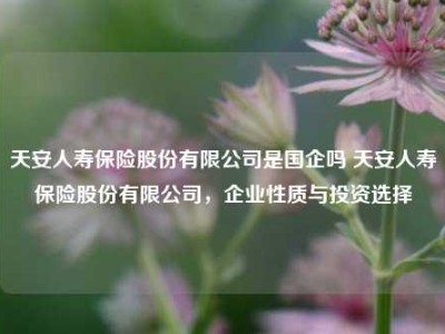 天安人寿保险股份有限公司是国企吗 天安人寿保险股份有限公司，企业性质与投资选择