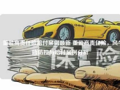 董监高责任险赔付案例最新 董监高责任险，风险防控与赔付案例分析