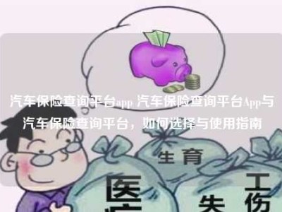 汽车保险查询平台app 汽车保险查询平台App与汽车保险查询平台，如何选择与使用指南