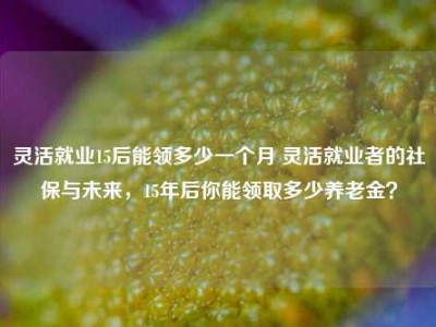 灵活就业15后能领多少一个月 灵活就业者的社保与未来，15年后你能领取多少养老金？