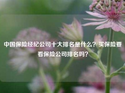 中国保险经纪公司十大排名是什么？买保险要看保险公司排名吗？