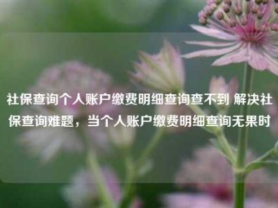 社保查询个人账户缴费明细查询查不到 解决社保查询难题，当个人账户缴费明细查询无果时