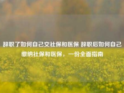 辞职了如何自己交社保和医保 辞职后如何自己缴纳社保和医保，一份全面指南