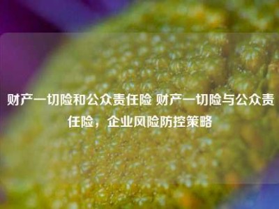 财产一切险和公众责任险 财产一切险与公众责任险，企业风险防控策略