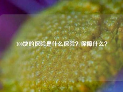 100块的保险是什么保险？保障什么？