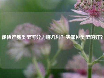 保险产品类型可分为哪几种？买哪种类型的好？