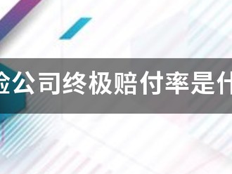 保险公司终极赔付率是什么