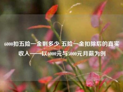 6000扣五险一金剩多少 五险一金扣除后的真实收入——以6000元与5000元月薪为例