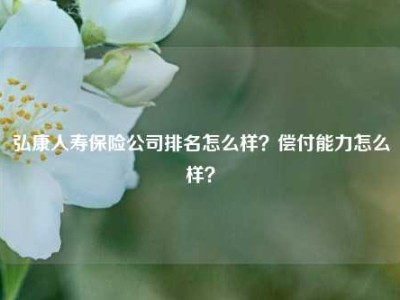 弘康人寿保险公司排名怎么样？偿付能力怎么样？