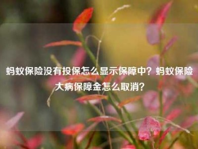 蚂蚁保险没有投保怎么显示保障中？蚂蚁保险大病保障金怎么取消？