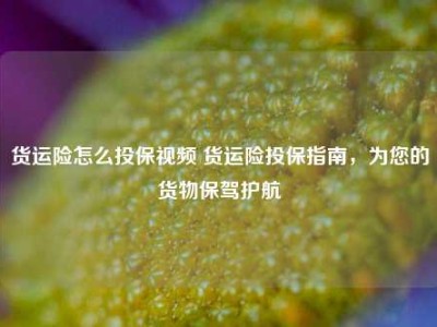 货运险怎么投保视频 货运险投保指南，为您的货物保驾护航