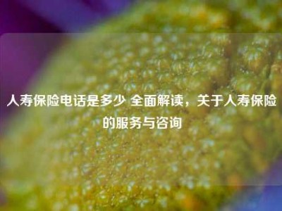 人寿保险电话是多少 全面解读，关于人寿保险的服务与咨询