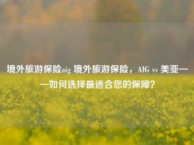 境外旅游保险aig 境外旅游保险，AIG vs 美亚——如何选择最适合您的保障？