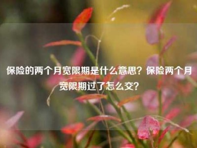 保险的两个月宽限期是什么意思？保险两个月宽限期过了怎么交？