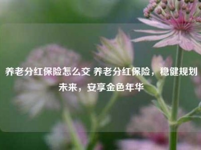 养老分红保险怎么交 养老分红保险，稳健规划未来，安享金色年华