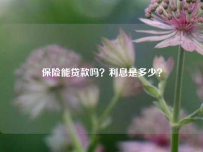 保险能贷款吗？利息是多少？