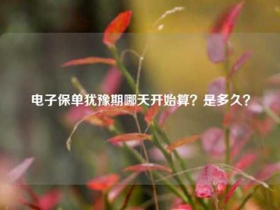 电子保单犹豫期哪天开始算？是多久？