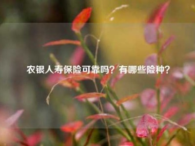 农银人寿保险可靠吗？有哪些险种？