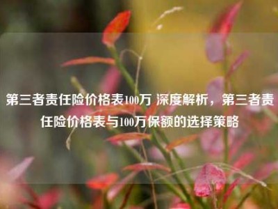 第三者责任险价格表100万 深度解析，第三者责任险价格表与100万保额的选择策略