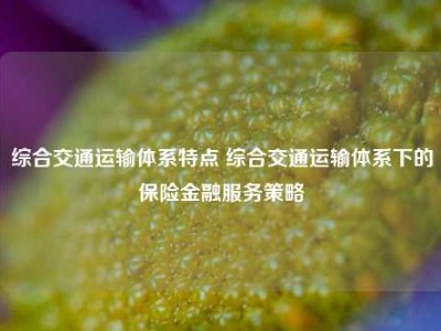 综合交通运输体系特点 综合交通运输体系下的保险金融服务策略