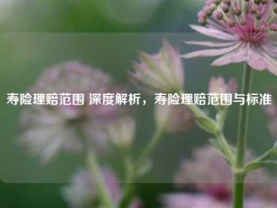 寿险理赔范围 深度解析，寿险理赔范围与标准