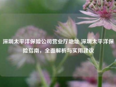 深圳太平洋保险公司营业厅地址 深圳太平洋保险指南，全面解析与实用建议