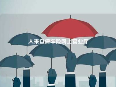 人来自保车险网上营业厅