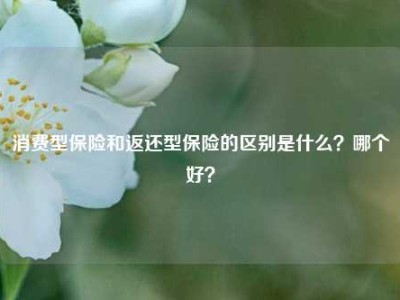 消费型保险和返还型保险的区别是什么？哪个好？