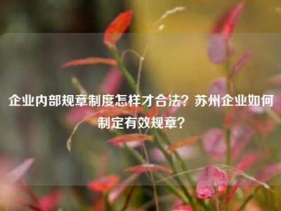 企业内部规章制度怎样才合法？苏州企业如何制定有效规章？