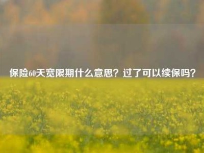 保险60天宽限期什么意思？过了可以续保吗？