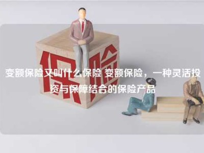 变额保险又叫什么保险 变额保险，一种灵活投资与保障结合的保险产品