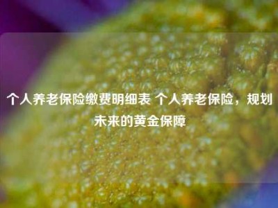 个人养老保险缴费明细表 个人养老保险，规划未来的黄金保障