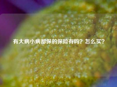 有大病小病都保的保险有吗？怎么买？