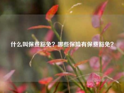 什么叫保费豁免？哪些保险有保费豁免？