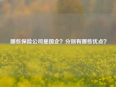 哪些保险公司是国企？分别有哪些优点？