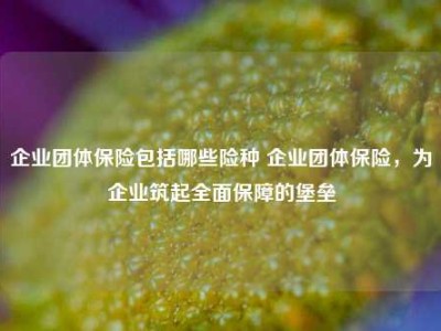 企业团体保险包括哪些险种 企业团体保险，为企业筑起全面保障的堡垒