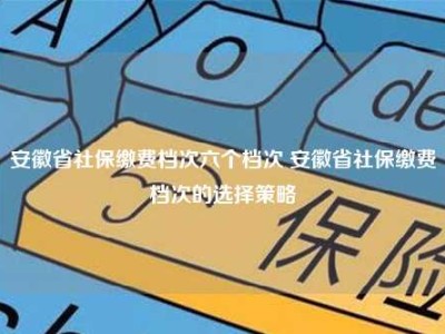 安徽省社保缴费档次六个档次 安徽省社保缴费档次的选择策略