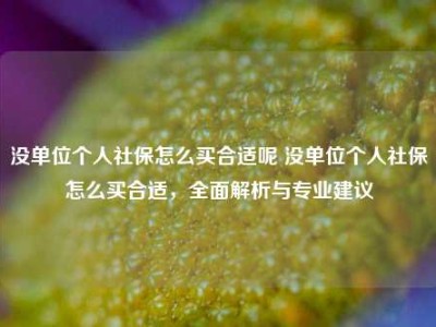 没单位个人社保怎么买合适呢 没单位个人社保怎么买合适，全面解析与专业建议