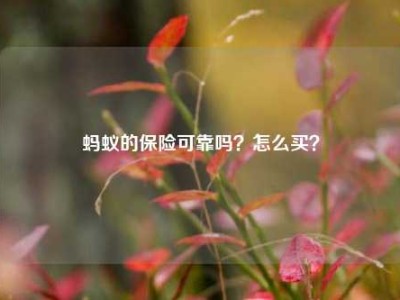 蚂蚁的保险可靠吗？怎么买？