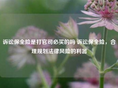 诉讼保全险是打官司必买的吗 诉讼保全险，合理规划法律风险的利器