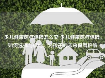 少儿健康医疗保险怎么交 少儿健康医疗保险，如何选择与缴纳，为孩子的未来保驾护航