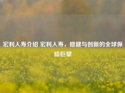 宏利人寿介绍 宏利人寿，稳健与创新的全球保险巨擘