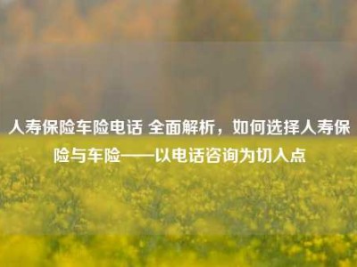 人寿保险车险电话 全面解析，如何选择人寿保险与车险——以电话咨询为切入点