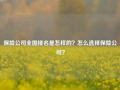 保险公司全国排名是怎样的？怎么选择保险公司？