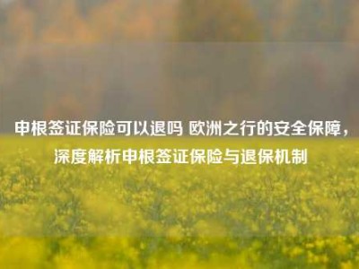 申根签证保险可以退吗 欧洲之行的安全保障，深度解析申根签证保险与退保机制