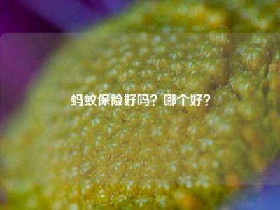 蚂蚁保险好吗？哪个好？