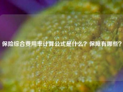 保险综合费用率计算公式是什么？保障有哪些？